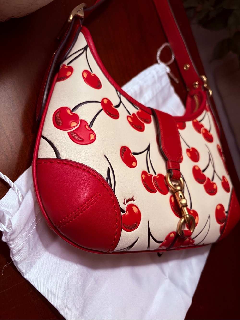Coach Cherry Print Hampton Hobo Bag - Picture 4 of 14
